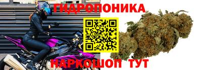Альфа ПВП Кумертау
