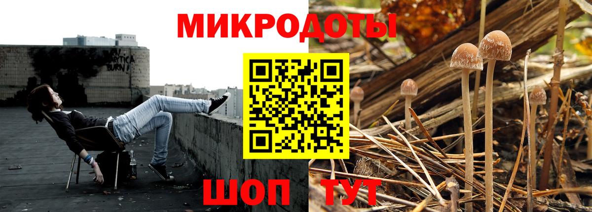 Псилоцибиновые грибы ЛСД Гудермес